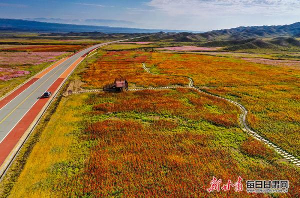DJI_0180.JPG