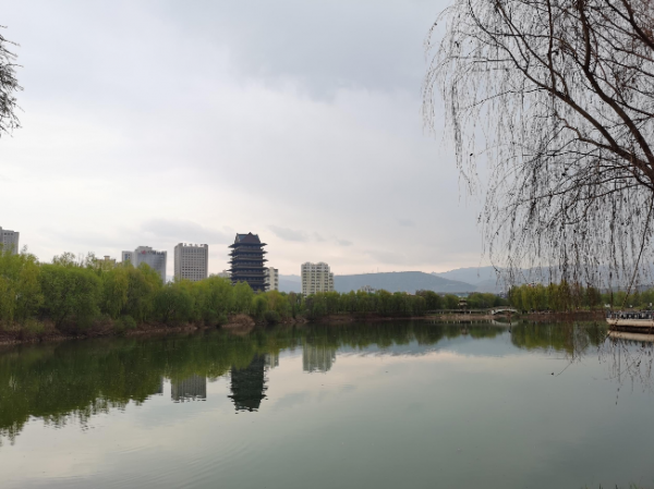 蘭州銀灘黃河濕地公園。新甘肅·甘肅日報(bào)記者杜雪琴攝.jpg